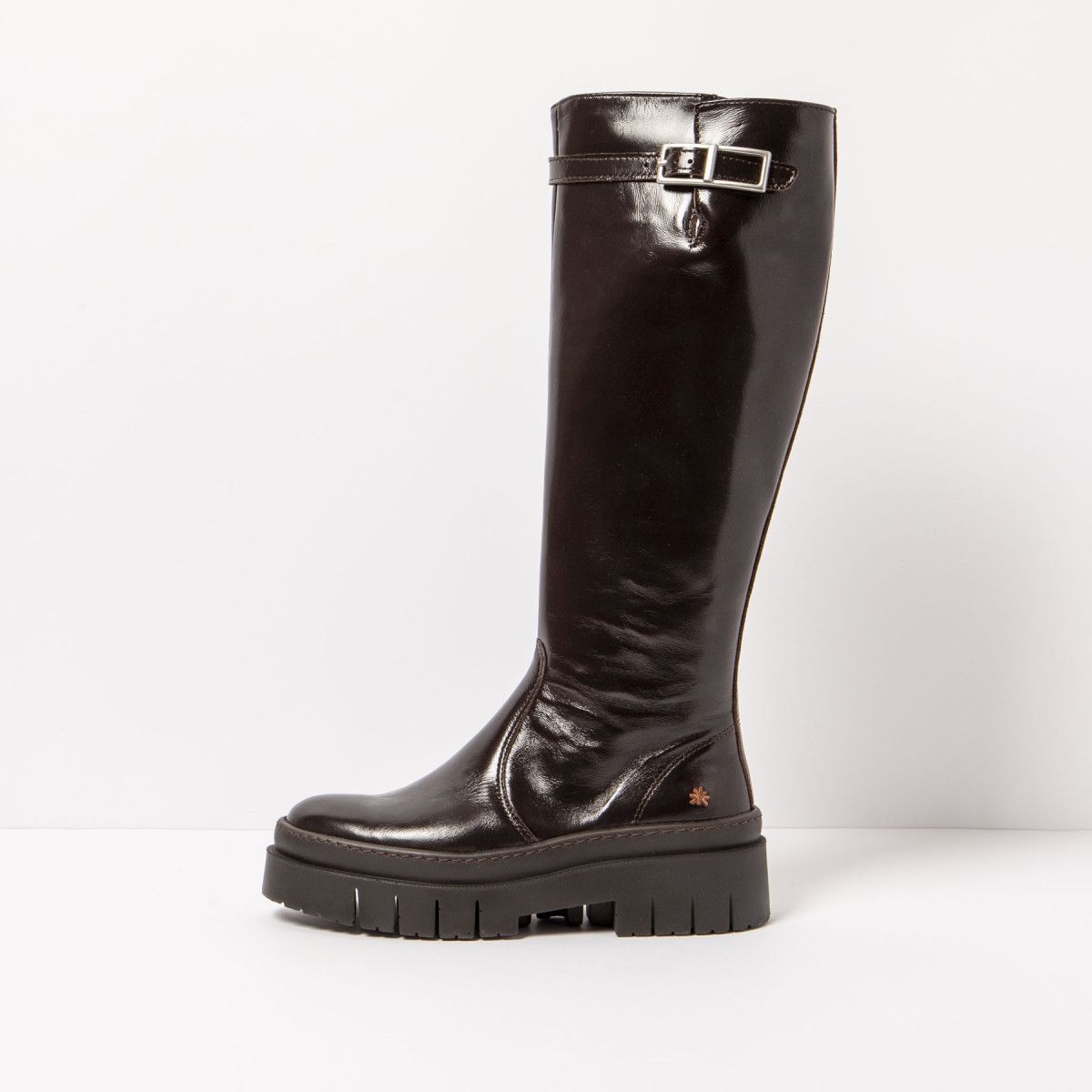 Bottes cuir plates online